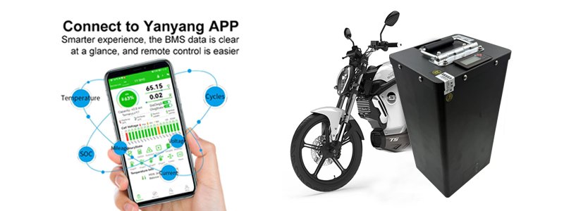 Genuine SOCO TC/TS Replacement Battery